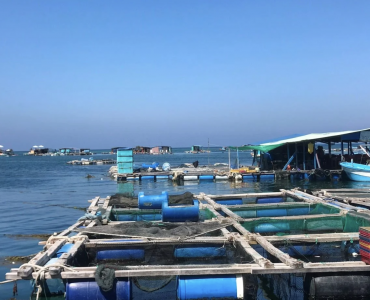 La acuicultura en jaulas marinas se concentra en siete zonas
